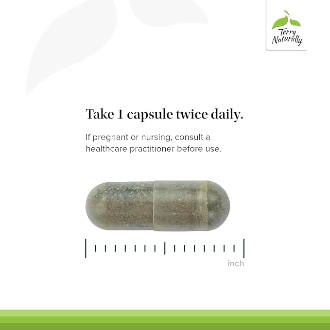 Terry Naturally Andrographis EP80 with Umckaloabo - Sinus Health Support - Supplement to Support Mucus Relief & Respiratory Function - Vegan Capsules to Aid Immune Health - 60 Capsules (60 Servings)
