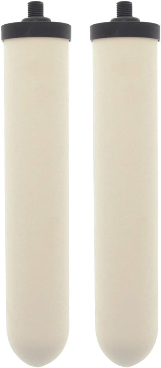 Doulton Ultracarb 10" Water Filter Candle, 2-pack (W9123053)