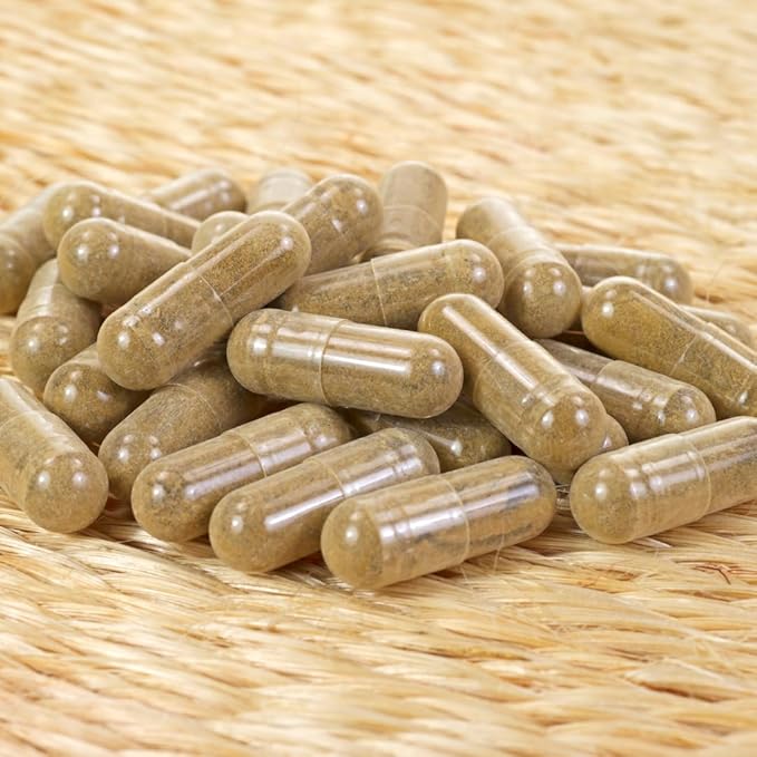 Earthborn Elements Amla Extract 200 Capsules, Pure & Undiluted, No Additives