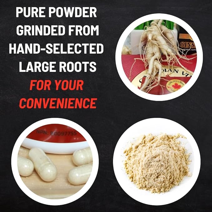 Ginseng Supplement 500mg - 60 Capsules - Pure Canadian Ginseng Root Powder - Energy | Focus | Immune Support - Authentic Ontario Farm Ginseng