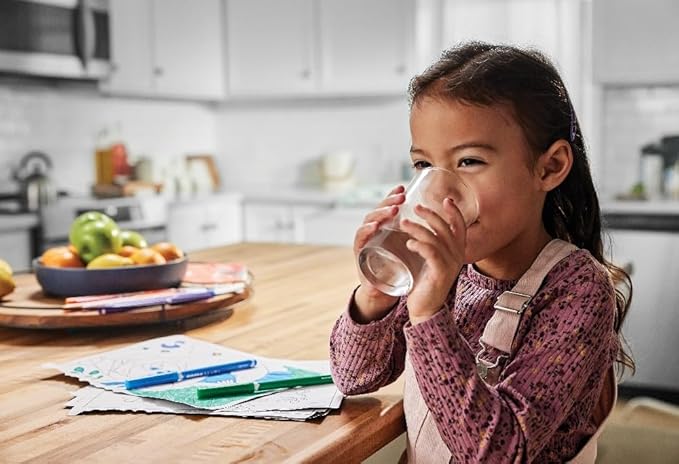 FRIGIDAIRE ULTRAWF Pure Source Ultra Water Filter, Original, White, 1 Count