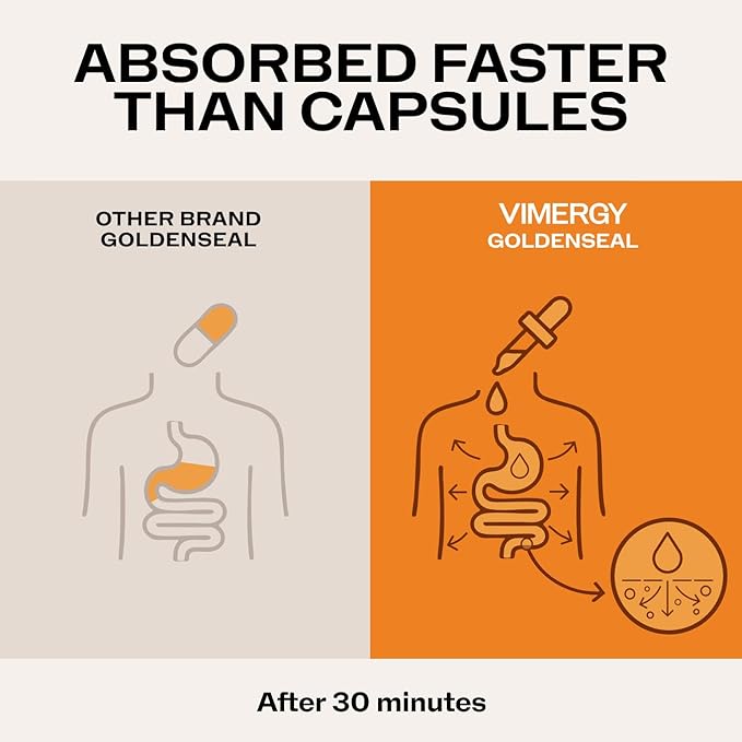 Vimergy Goldenseal Tincture Herbal Supplement – (57 Servings) 10:1 Extract Equivalent of 2000mg Herbal Equivalent– USDA Organic, Vegan, Alcohol-Free Golden Seal herb Drops Great for Tea (115 mL)