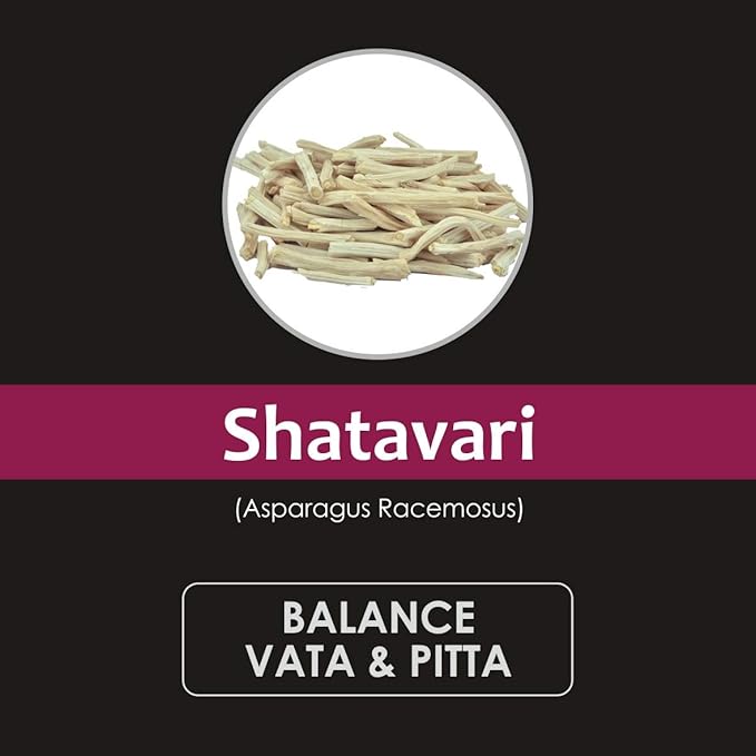 8 Ounce 100% Natural Shatavari Powder, Asparagus Racemosus, Pure Ayurvedic Herb for Daily Use, Vegan, No Preservatives, (8 Ounce Pack of 1)