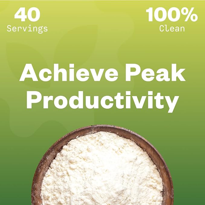 CDP Choline Powder, 10g, CDP Choline Supplements That Support Attention, Focus, and Energy, Citicoline Powder for Cognitive Function, Increases Motivation and Productivity, 40 Servings