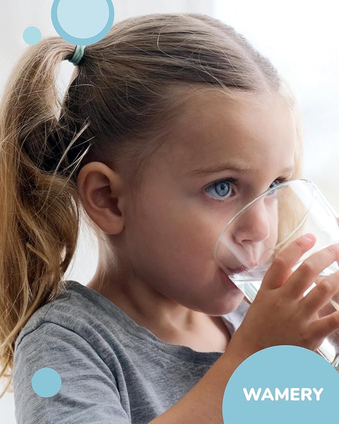 Wamery Alkaline Refrigerator Water Filter Replacement - Model LT1000P/PC/PCS (ADQ747935), 6-Month/200-Gallon Life, Twist-In Tool-Free Install, IAPMO to NSF/ANSI 42, Leak-Free Seal, 1 Pack