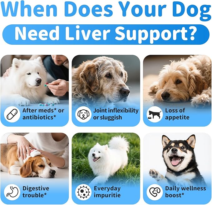 Liver Health Supplement for Senior Dogs - Joint Health Support with Silybum Marianum, SAMe, Krill Oil, Glucosamine, B Vitamins Complex, MSM, Choline for Old Dogs, Chicken Flavor - 60 Soft Chews