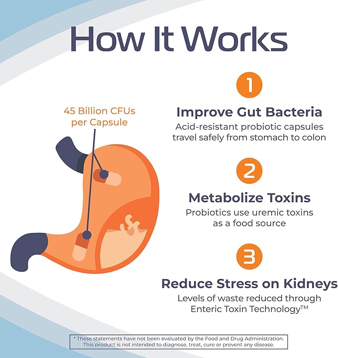 Renadyl Kidney Probiotic Supplement | Urea, Creatinine, & Uric Acid Support | 45 Billion CFUs | Clinically Tested, Non-GMO, & Made in USA, 60 Capsules (1 Bottle, 1 Month Supply)