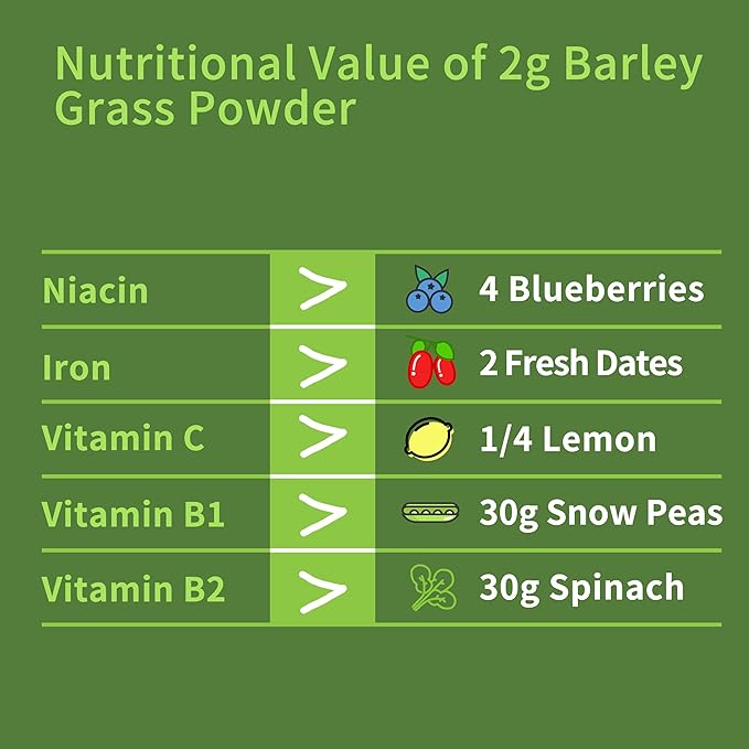 Barley Grass Juice Powder 11 oz - 100% Pure Wheatgrass Powder, Vegan, No Maltodextrin & Sugar.
