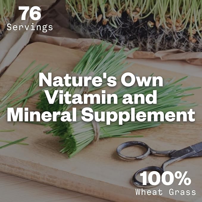 Wheatgrass Powder, 8oz, Wheat Grass Powder, Green Superfood for Salads, Smoothie and Shakes, Superfood Powder Rich in Immunity Vitamins, Fiber and Minerals, 76 Servings