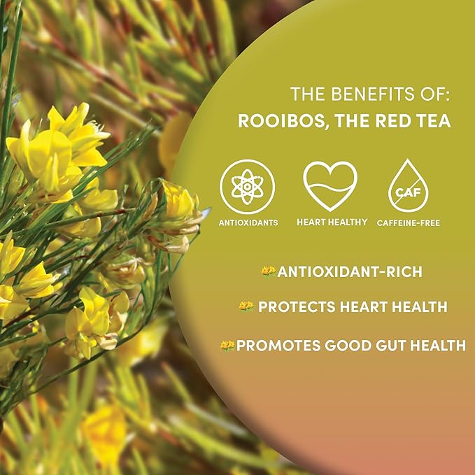 Worldwide Botanicals Organic Red Rooibos Tea – 1lb - 100% South African Aspalathus linearis – Loose Leaf, Cut and Sifted - Resealable Bag for Freshness, 1 Pound Bag