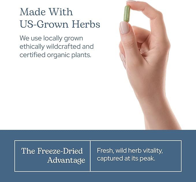 Eclectic Herb - Premium Freeze Dried Milk Thistle Capsules | Dietary Supplement | Liver Support, Detox, Cleanse + Maintain | Natural, Non-GMO, Vegan (240 CT | 600 mg)