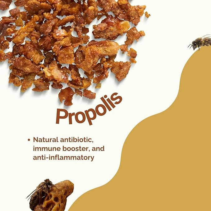 Saw Palmetto Prostate Supplement for Men-Prostate Health & with Propolis Extract & Horsetail Reduces Swelling Enhance Urinary Bladder Capacity 90 Capsules (Pack of 1)