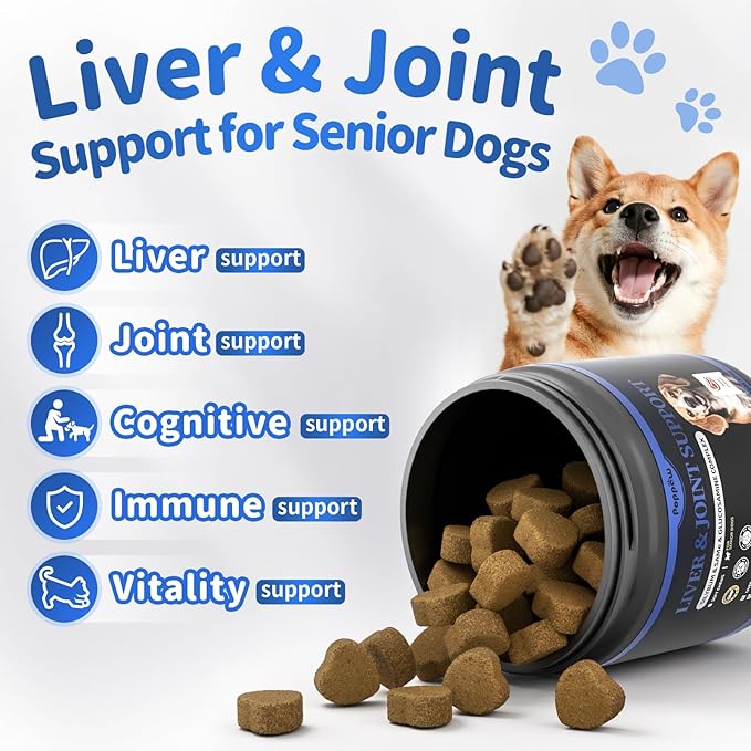 Liver Health Supplement for Senior Dogs - Joint Health Support with Silybum Marianum, Same, Krill Oil, Glucosamine, B Vitamins Complex, MSM, Choline for Old Dogs, Beef Flavor - 90 Soft Chews