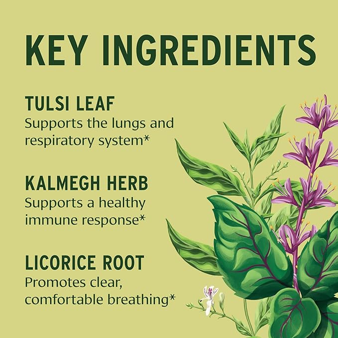 Banyan Botanicals Immune Strong – Organic Supplement with Turmeric & Tulsi – Ayurvedic Immune Formula That Supports The Body's Natural Defenses* – 90 Tablets – Non-GMO Sustainably Sourced Vegan