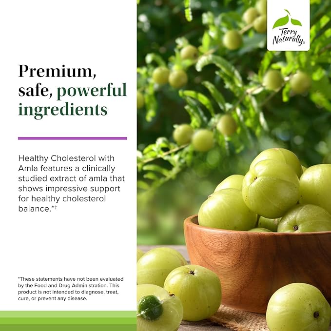 Terry Naturally Healthy Cholesterol with Amla - Antioxidant Supplement for Immune & Heart Support - Supplement to Aid Healthy Cholesterol & Triglyceride - 60 Capsules