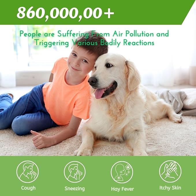 Nispira AER1 HAPF300AHD Allergan Remover Filters for Holmes Air Purifier HAPF300AH-U4R HAPF30AT HAP242-NUC, 4 HEPA 4 Carbon Booster Set