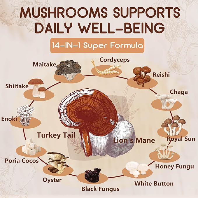 Mushroom Supplement, Mushroom Complex with Lion's Mane, Turkey Tail, Reishi, Cordyceps, Shiitake, 14-in-1 Mushrooms for Memory and Focus, 120 Capsules