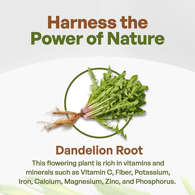 Go Nutra Dandelion Root Powder | Potent 10:1 Extract with 4% Flavonoids | Digestion & Immune Support | Rich With Antioxidants | Natural Powder for Tea, Coffee, & More | Non-GMO | Vegan-Friendly | 1 lb