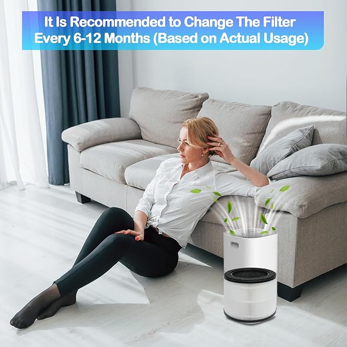 2 Pack Airmega 100 Filter, Replacement Filter Compatible with Coway Airmega 100 Air Purifier, 3-In-1 H13 True Hepa Filter for Odor, Dust, Hair and More