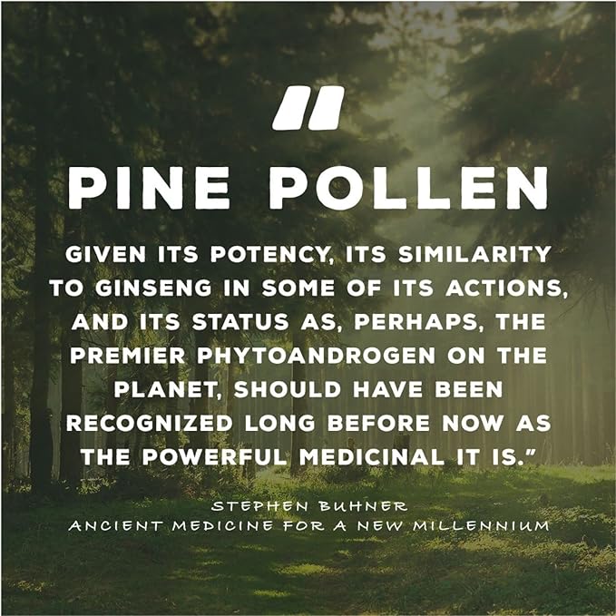 Surthrival: Pine Pollen Gold Extract (1 fl oz), Wild Harvested, Energy Restoration