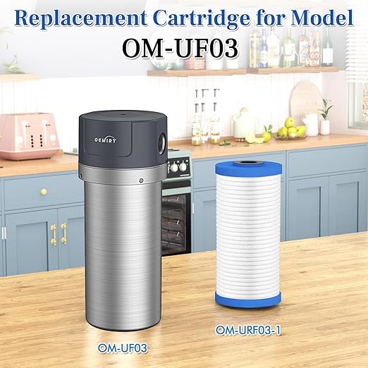 Whole House Water Filter, Stainless Steel Filter Housing, 10"x4.5" Sediment Filter Pre-Filtration System for Well or City Water, 1" or 3/4" NPT Port, 1 Filter