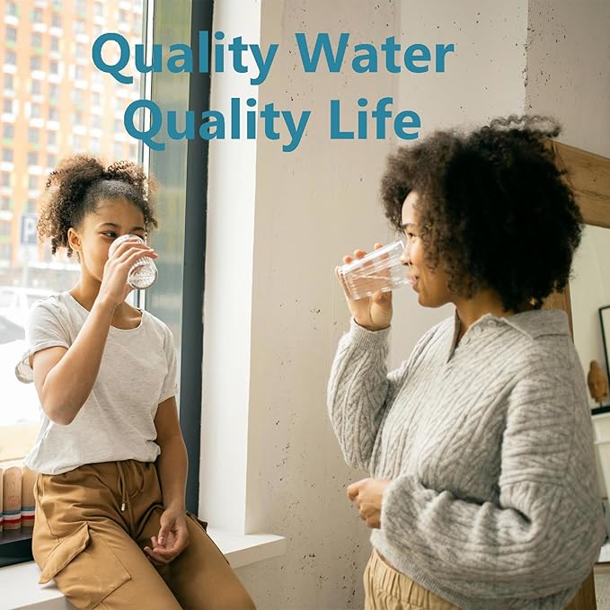 Water Filter Replacement for ZR-001 ZR-017 ZR-004 ZD-013 Water Filter,Fit for zero Pitchers and Dispenser, Multi-Stage Filter System Reduce Lead, Chromium, PFOA/PFOS and TDS, Pack of 2,by Cobectal