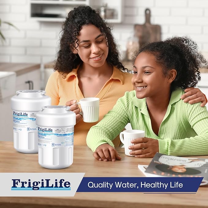 RWF0600A Water Filter Replacement for GE MWFP, MWFA, MWFAP, MWFINT, GWF, GWFA, HWF, HWFA, HDX FMG-1, Smartwater, WFC1201, GSE25GSHECSS, 197D6321P006,2Pack