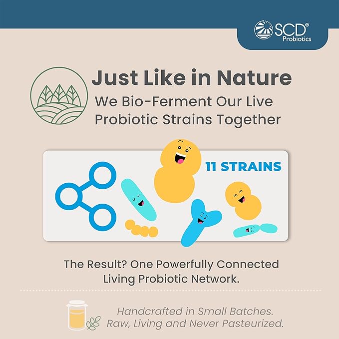 SCD Essential Probiotics for Women, Men, Kids and Toddlers, Live Probiotic for Digestion and Immunity, Gut Health Liquid Probiotic Supplement with 11 Strains – 16.3 fl oz by SCD Probiotics