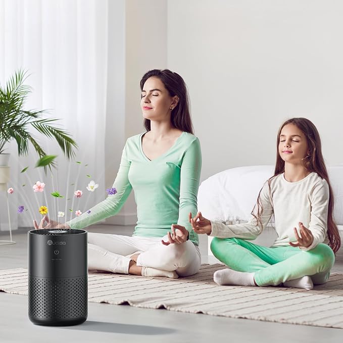 Air Purifiers for Bedroom up to 588 Ft², 20dB Bedroom Air Purifier for Small Room Removes Dust Pets Hair Smoke Odor with Aromatherapy Function(Black)