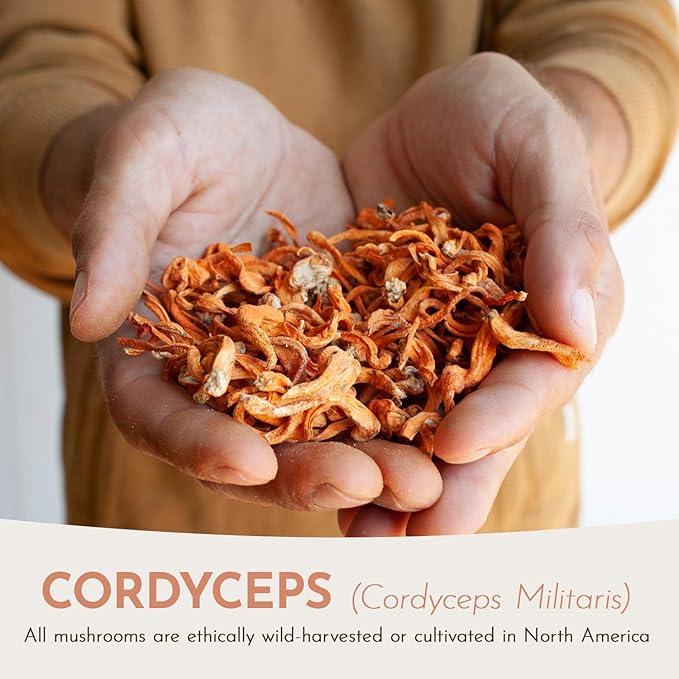 Cordyceps Extract – Triple-Extracted Spagyric Tincture for Energy and Endurance – 100% Fruiting Body – Natural Flavor – Grown and Made in The USA – 1oz