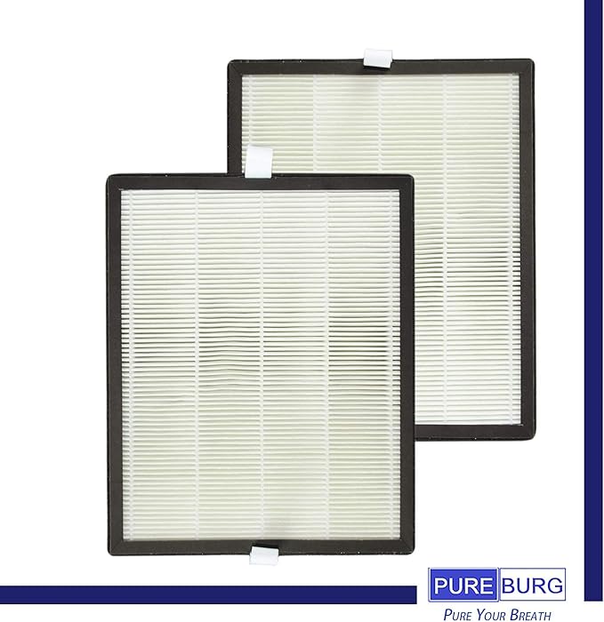 PUREBURG Replacement Filter Compatible with PARTU BS-10 Air Purifier, 2-Pack H13 HEPA Activated Carbon 2-in-1 3-Stage Filtration Air Clean Dust