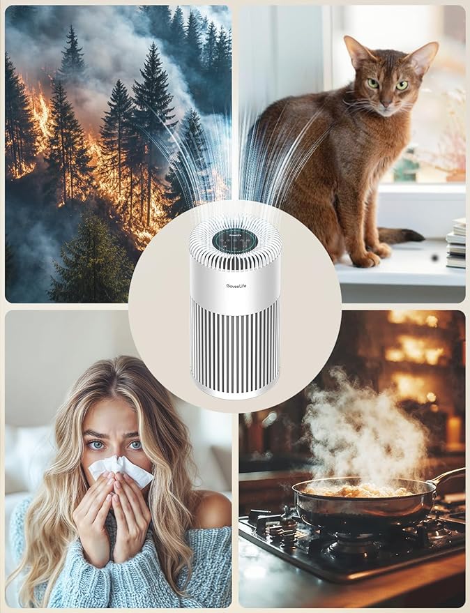 GoveeLife Smart Air Purifier for Home Large Room Up to 1524 sq.ft.with Washable Filter, Integrated PM 2.5 Air Quality Sensor,WiFi, Air Purifier for Smoke, Wildfire, Pet Hair,24dB, White