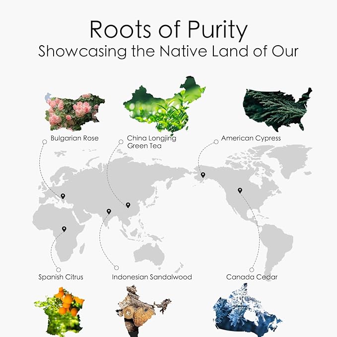 Hotel Fragrance Oil Inspired by W Hotel Scent - Everyday Essential Oil for Scent Diffusers air Purifier - Lemon, Lime, Citron, Tea Leaves - Home Luxury Scents Aroma Fragrance for Home, Office