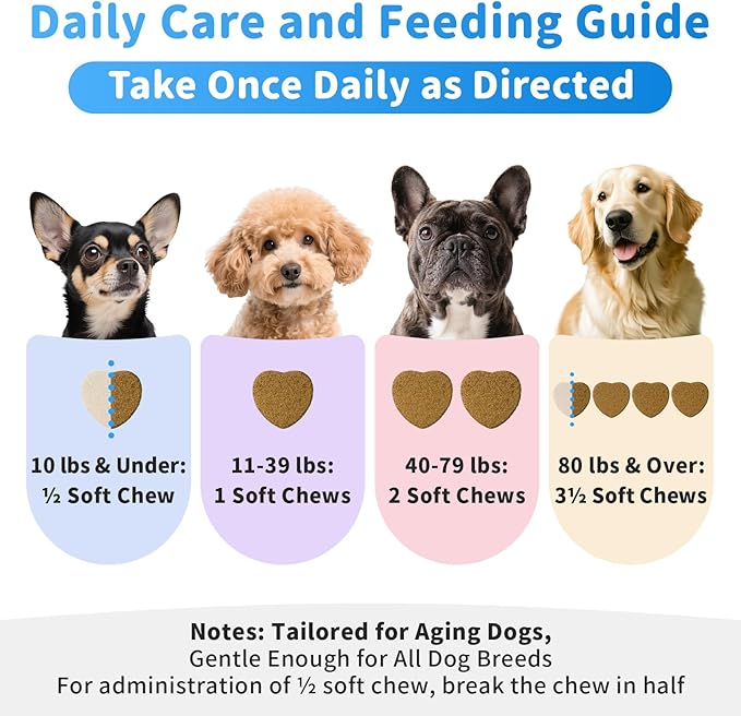 Liver Health Supplement for Senior Dogs - Joint Health Support with Silybum Marianum, SAMe, Krill Oil, Glucosamine, B Vitamins Complex, MSM, Choline for Old Dogs, Chicken Flavor - 60 Soft Chews
