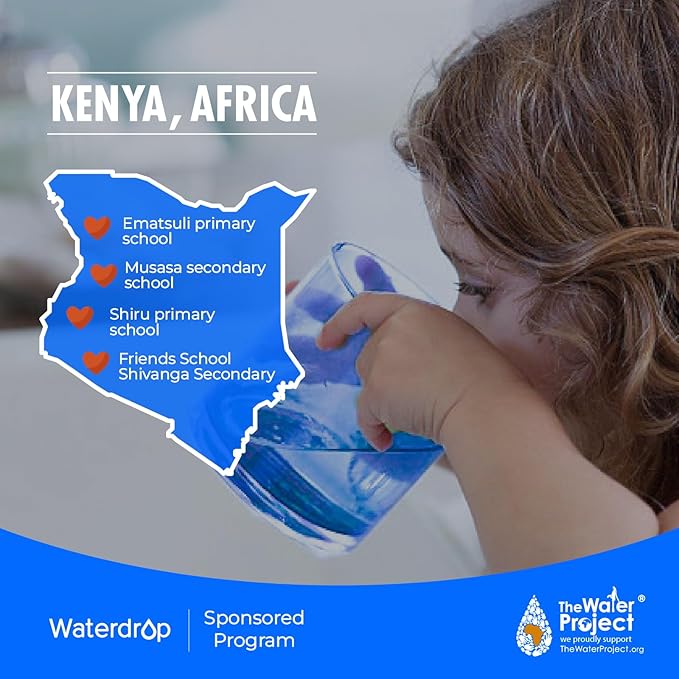 Waterdrop Replacement for GE® Profile Opal Nugget Ice Maker Water Filter, P4INKFILTR, with Ring Pull, NSF 42&372 Certified, BPA-Free, 4 Counts