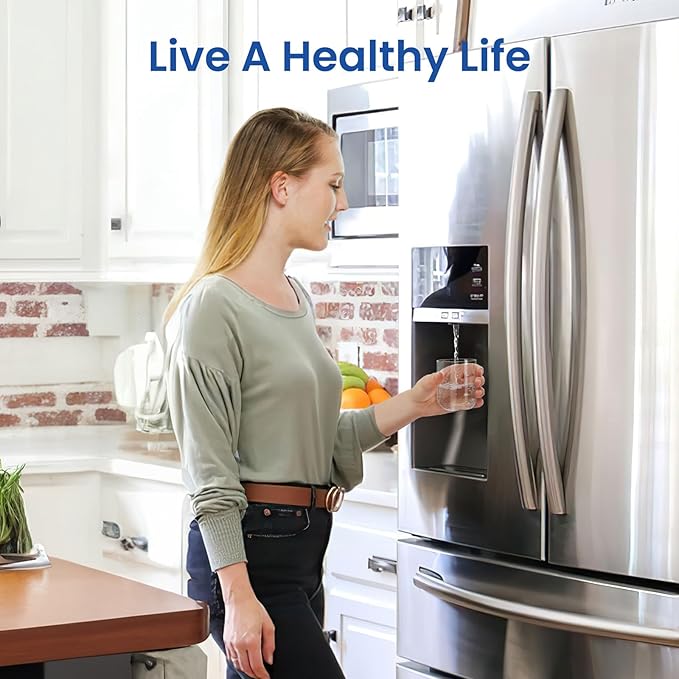 Ecoviva EDR3RXD1 Replacement Water Filter, Compatible with Filter 3,4396841, 4396710, WD-F08, 46-9083, 46-9030, W10121145, W10121146 Water Filter, 3 Filters