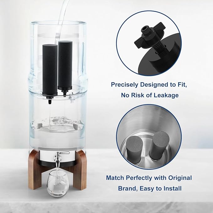 Water Filter Replacement for Berkey, Black Purification Elements, Activated Carbon Filters, Compatible with Berkey Gravity Water Filter System, Pack of 2