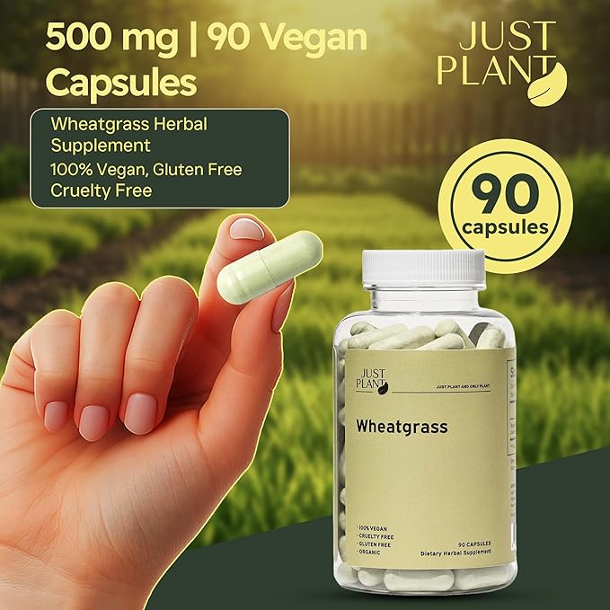 Organic Wheatgrass Capsules 500 mg, 90 Capsules | Vegan, Gluten-Free | Green Superfood Supplement for Detox, Energy, Digestion & Immune Support
