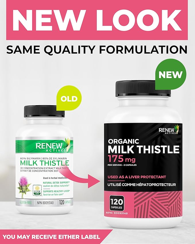 Renew Actives Milk Thistle Capsules 175MG per Serving Organic Seed Extract for Liver Health, Concentrated Silymarin Formula, Antioxidants, & Digestive Wellness – Made in Canada - 120 Capsules