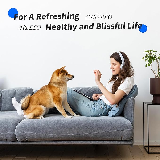 Water Filter Compatible with LG LT700P, LT700PC, ADQ36006101, ADQ36006101-s, Kenmore 9690, 469690, LFXS29766S, 2 Pack, By CHOPLO