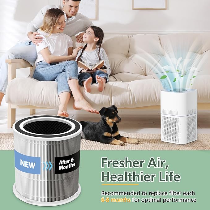 AP301 AP302 HEPA filter Replacement, ONLY for Dayette AP301 AP302 Air Purifier, HEPA and More Carbon Particles, Original filter