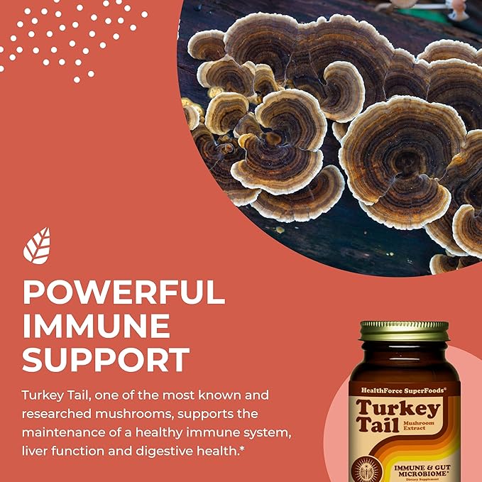 HEALTHFORCE SUPERFOODS Turkey Tail - Capsules - 90 Vegan Capsules