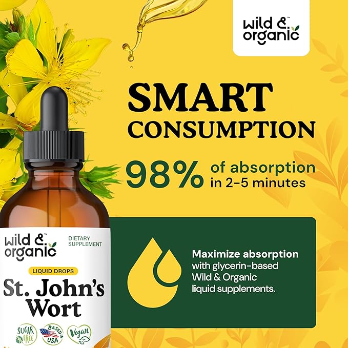 Wild & Organic St Johns Wort Tincture - Mood Support - Calming St John's Wort Supplement - Hypericum Perforatum Herbal Liquid Drops - Vegan, Sugar & Alcohol Free - 4 fl oz