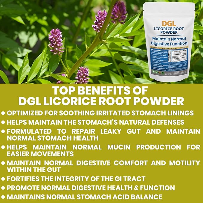 DGL Licorice Supplement: Supports Digestive Health, Gut Lining Support, DGL Powder for Wellness, Licorice Root Extract Powder, 140 serv.