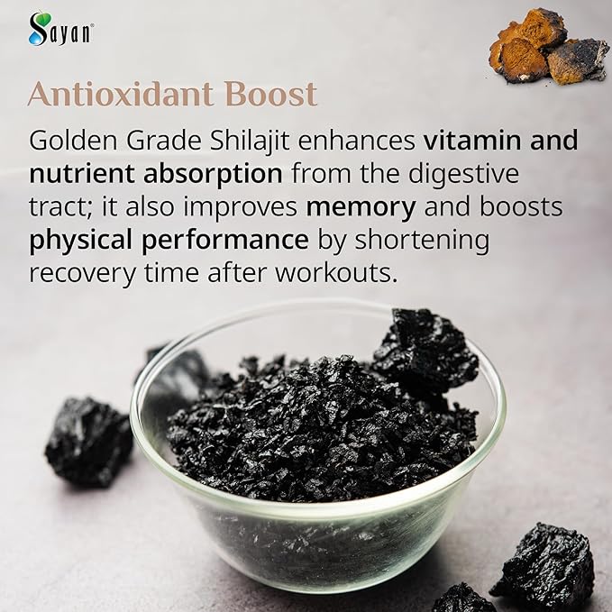Sayan Siberian Chaga Mushroom Extract with Shilajit Powder (2 oz) – Organic Antioxidant Tea – Immune and Digestion System Support – Fulvic Acid Supplement – Energy & Clarity – No Fillers