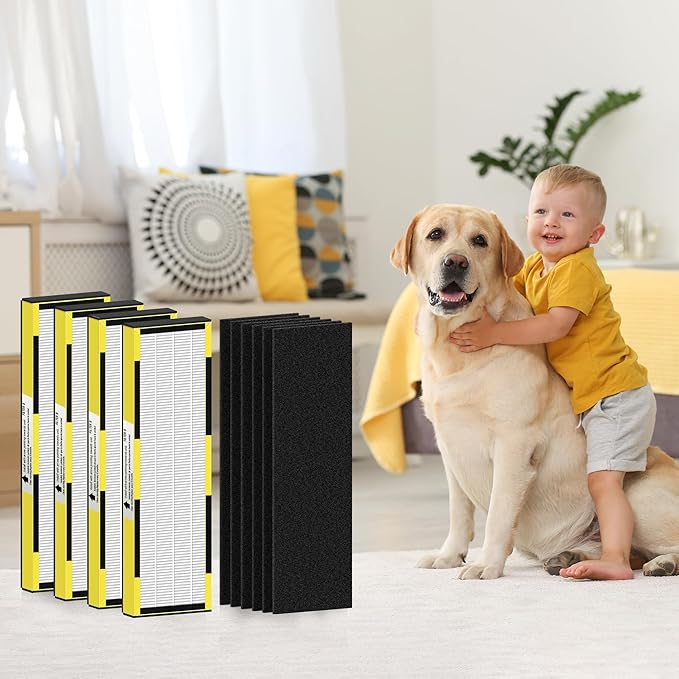 FLT4825 HEPA Filter B Replacement for Guar.dian Air Purifier AC4825 AC4300 AC4800 AC4900 AC4850, 4 HEPA Filter and 6 Pre-Filter by NISHCON