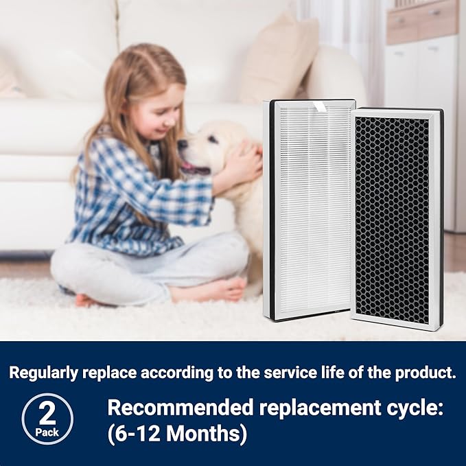 Replacement Filter Compatible with 40 Series Air Purifier, 3 in 1 with Pre-Filter, H13 HEPA and Activated Carbon(2 Pack)