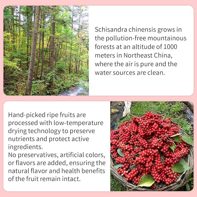 Wanhua Hall Schisandra Berry Dried Schisandra Chinensis 10.6oz/300g Schisandra Berry Tea Natural Wu Wei Zi Caffeine Free 五味子 五味子茶 北五味子