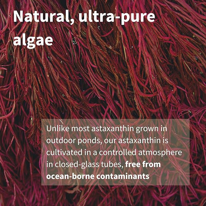 Igennus Vegan Astaxanthin 4mg Complex with Lutein and Zeaxanthin, 90 Small Softgels, from 42 mg Astapure, Natural Algae Antioxidant for Eyes, Skin & Joints, Non-GMO, H. Pluvialis