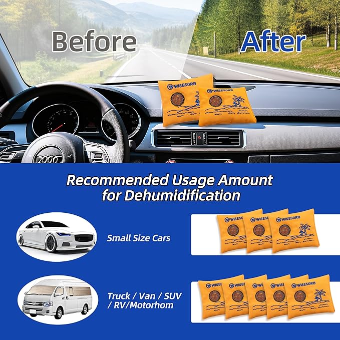 100gx5pcs Rechargeable Desiccant Packs for Storage, Reusable Dehumidifier Bags Visible Color Indicating Silica Gel Packets Moisture Absorbers for Safe Closet 3D Filaments Electronics Camera